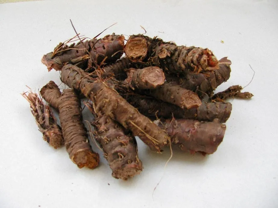 Ekstrak Tanaman untuk Produk Kesehatan Ekstrak Rhodiola Rosea dengan Kandungan Salidroside dan Rosavin Tinggi untuk Dewasa 1