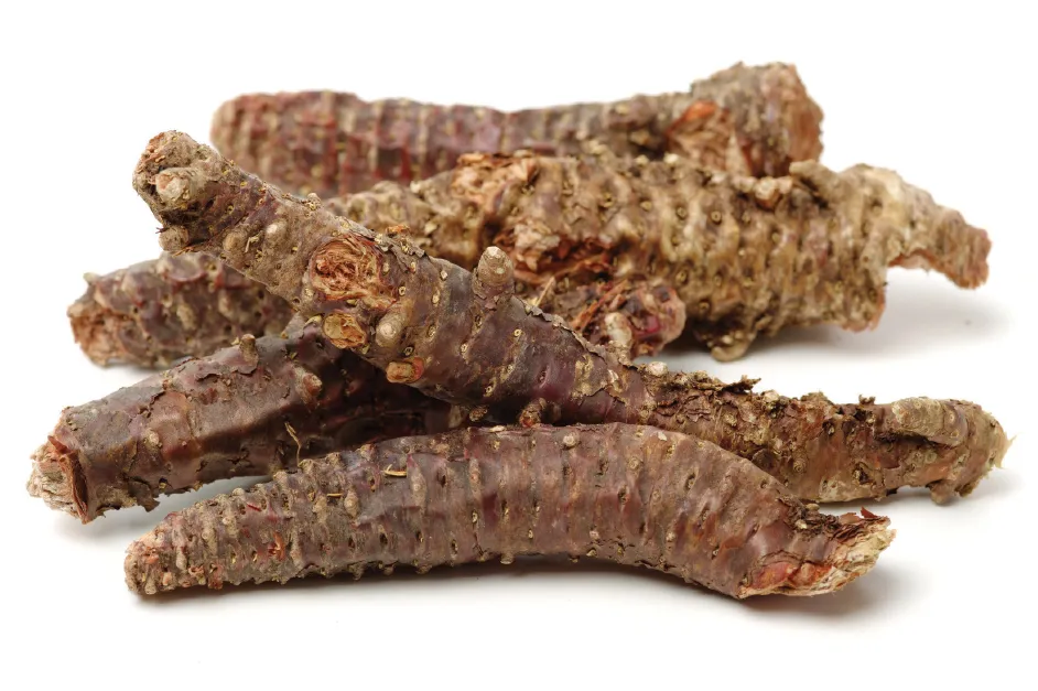 Ekstrak Tanaman untuk Produk Kesehatan Ekstrak Rhodiola Rosea dengan Kandungan Salidroside dan Rosavin Tinggi untuk Dewasa 0